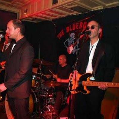 The Bluebones 15